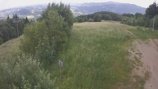 Widok z góry