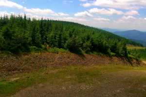 SZCZYRK MOUNTAIN RESORT - Zbójnicka Kopa