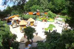 CZARNY GROŃ