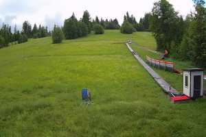 Kamera Poronin Suche-Ski u Jędrola U Jędrola Dyzio