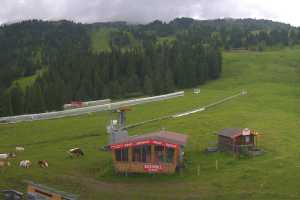 Kamera Zell im Zillertal Zillertal Arena Zillertal Arena - Rosenalm