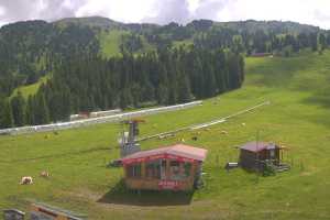 Kamera Zell im Zillertal Zillertal Arena Zillertal Arena - Rosenalm