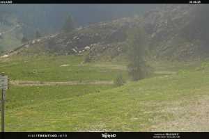 Kamera San Martino di Castrozza  Tognola - Pista UNO
