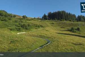 Kamera Saalfelden Leogang  Sommerrodelbahn (LIVE Stream)