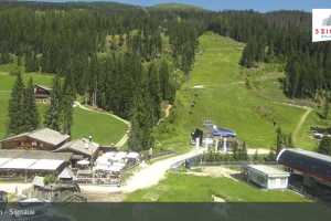 Signaue (LIVE Stream)