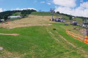 Zieleniec