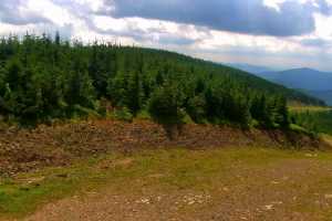 SZCZYRK MOUNTAIN RESORT - Zbójnicka Kopa