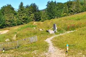 Kamera SZCZYRK MOUNTAIN RESORT - HALA SKRZYCZEŃSKA