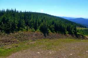 Kamera SZCZYRK MOUNTAIN RESORT - Zbójnicka Kopa