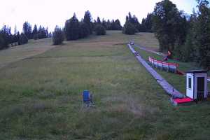 Kamera Poronin Suche-Ski u Jędrola U Jędrola Dyzio
