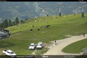 Kamera Val di Fiemme Alpe Cermis Seggiovia Lagorai