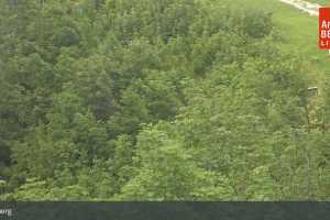 Kamera Annaberg  Hennesteck Bergstation (LIVE Stream)