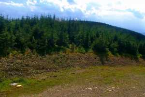 Kamera SZCZYRK MOUNTAIN RESORT - Zbójnicka Kopa