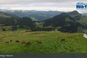 Kamera Hoch-Ybrig  