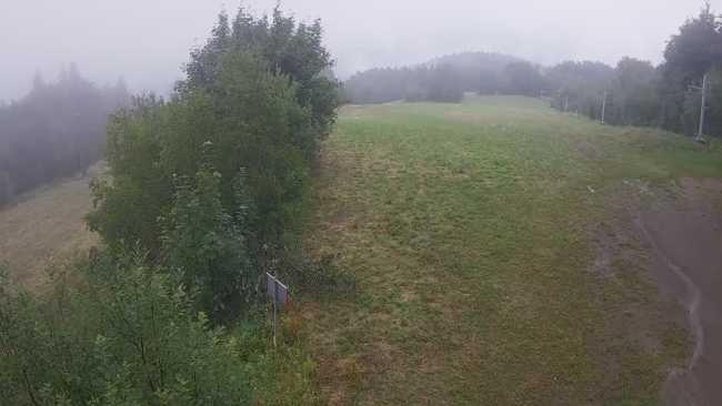 Widok z góry