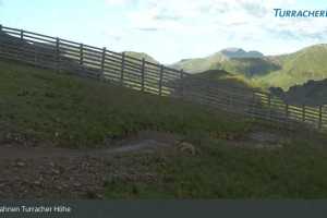 Kamera Turracher Hoehe  Bergbahnen Turracher HĂśhe (LIVE Stream)