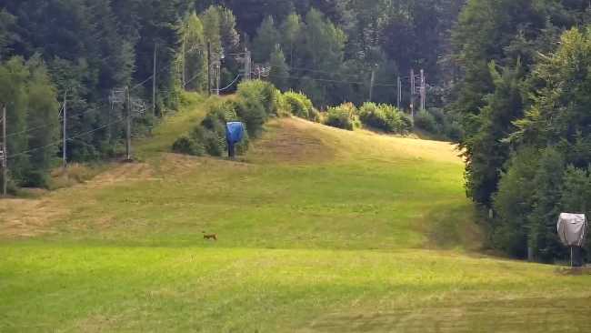 Widok z dołu