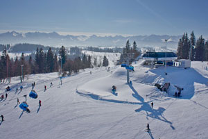 Pasieka Express fot. ON Kotelnica