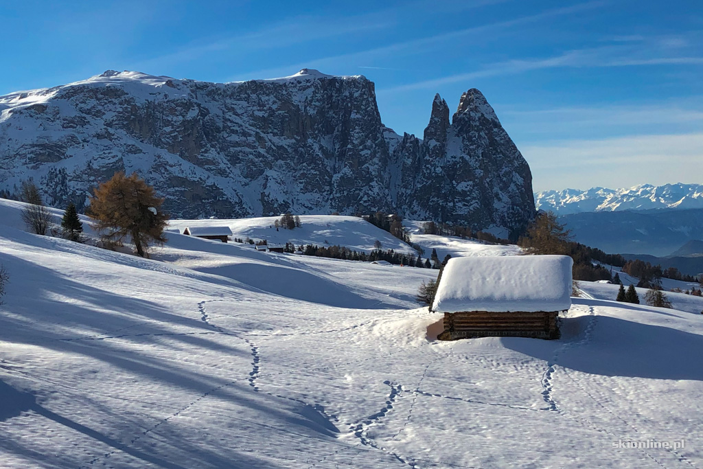 Seiser Alm / Alpe di Siusi