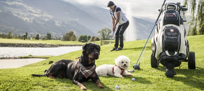 Zillertal: zakochaj się w górach, fot. Bernhard Huber